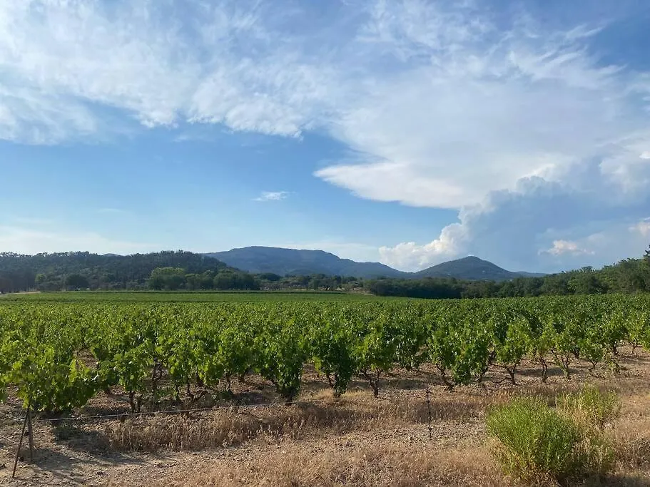 Bastide De L'Hermitan - Golfe De Saint Tropez Cogolin Francie